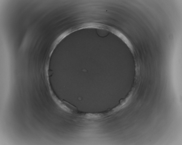 X0000114590954200910191554