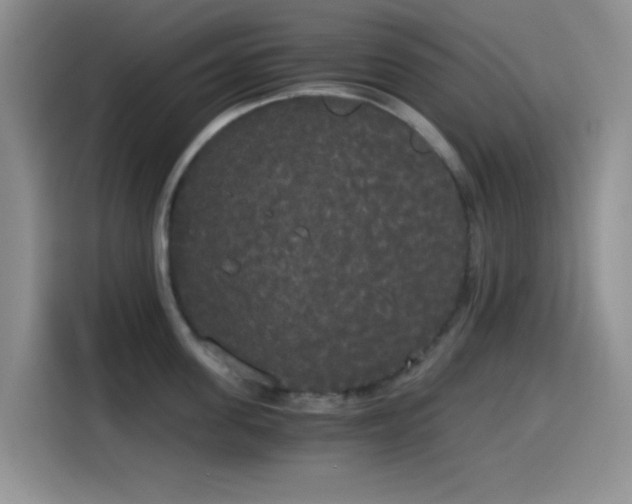 X0000114590955200910191554