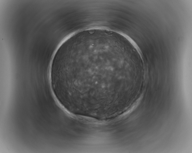 X0000114590957200910191554