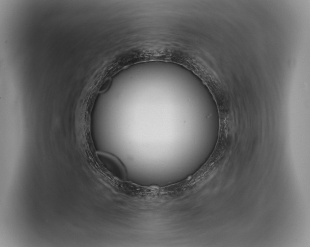 X0000114590961200910191554