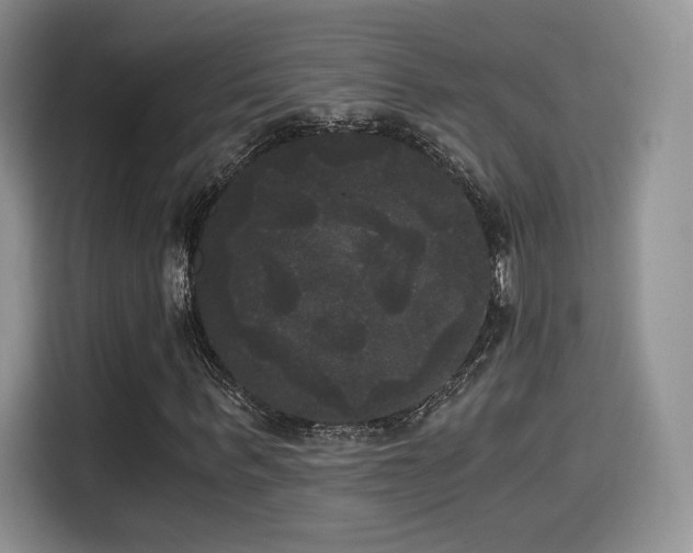 X0000114590963200910191554