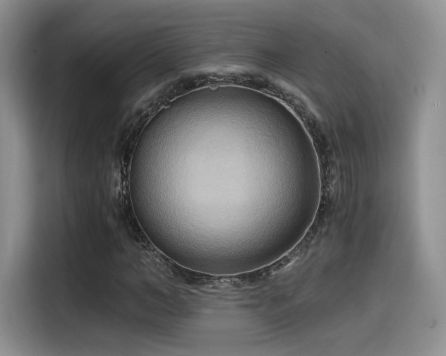 X0000114590966200910191554