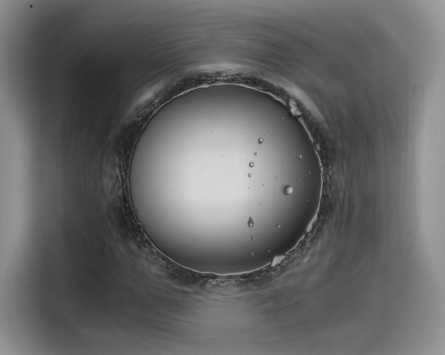 X0000114590967200910191554