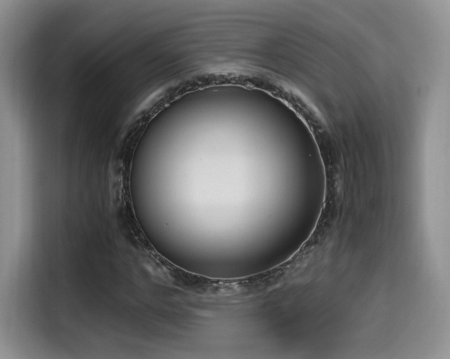 X0000114590968200910191554