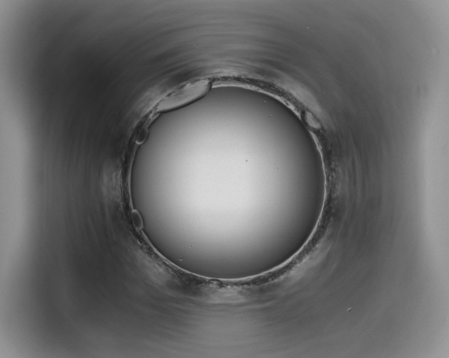 X0000114590969200910191554