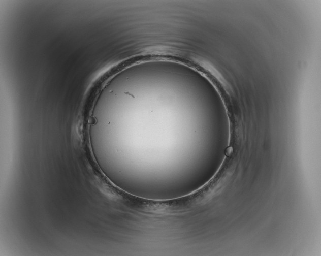 X0000114590971200910191553