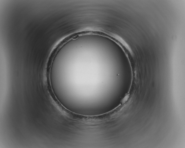X0000114590972200910191553