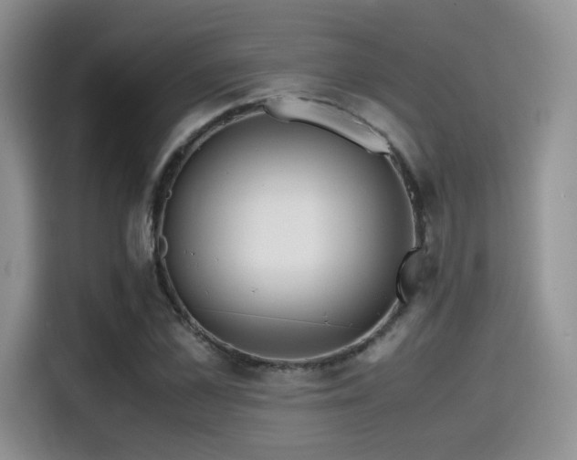 X0000114590973200910191553