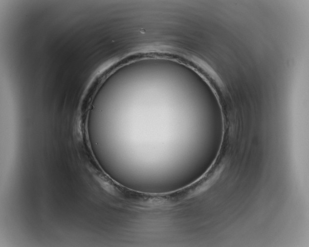 X0000114590974200910191553