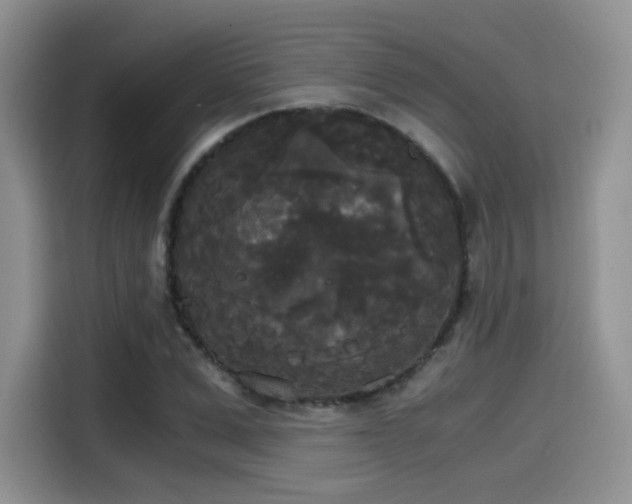 X0000114590975200910191553