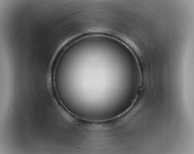 X0000114590976200910191553