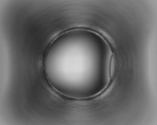 X0000114590977200910191553
