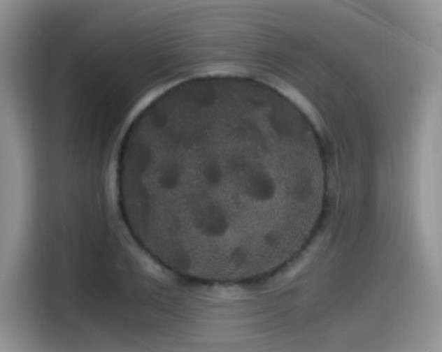 X0000114590983200910191553