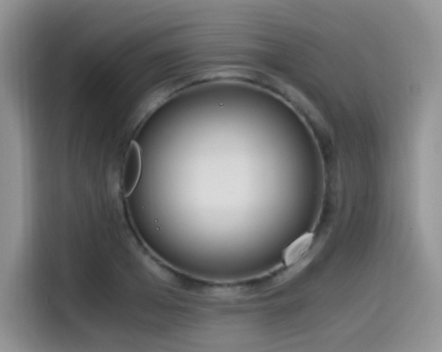 X0000114590985200910191553