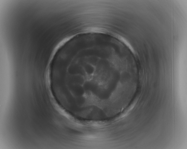 X0000114590987200910191553