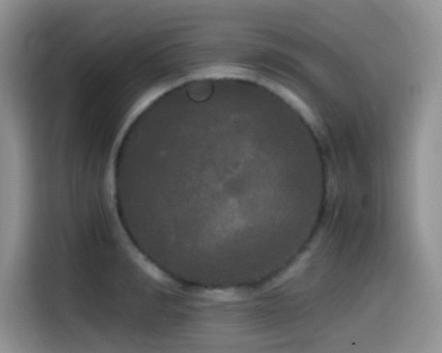 X0000114590990200910191553