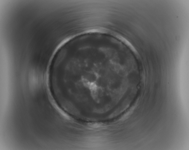 X0000114590991200910191553