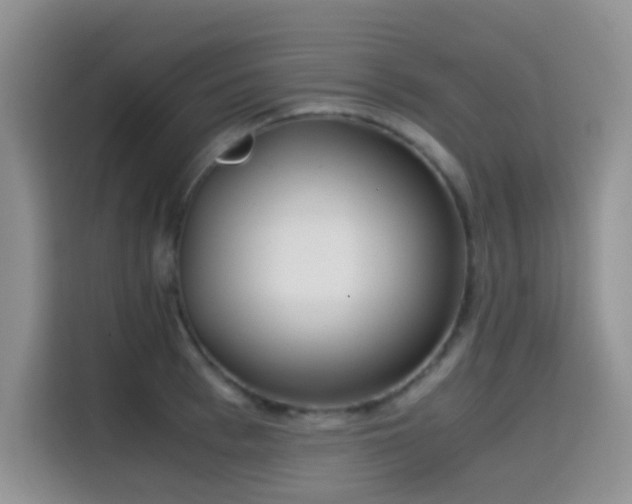 X0000114590993200910191553