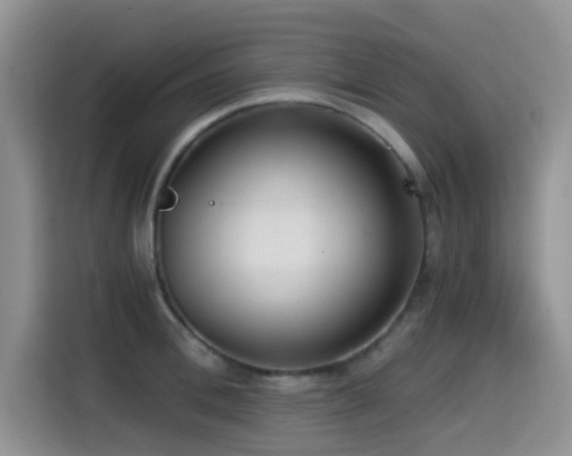 X0000114590996200910191553