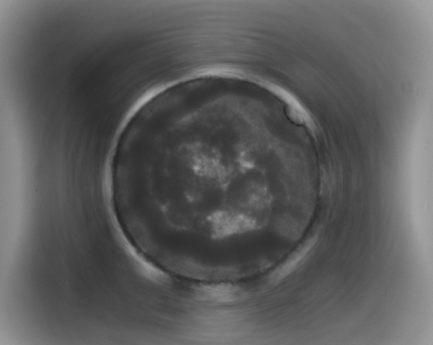 X0000114590999200910191553
