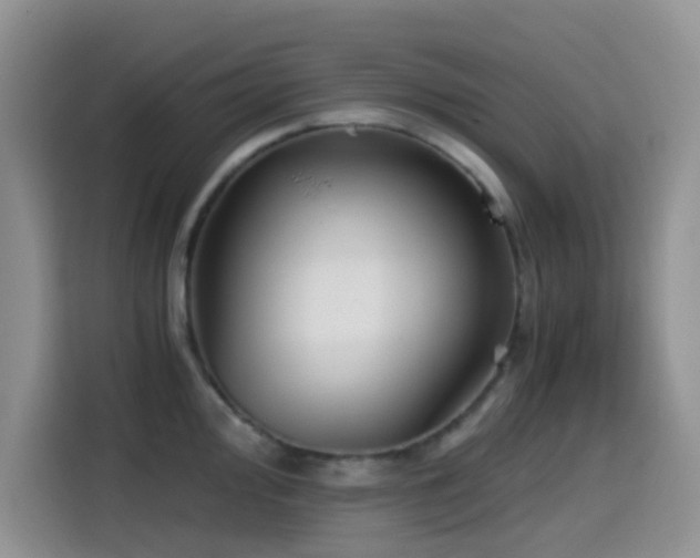 X0000114591000200910191553