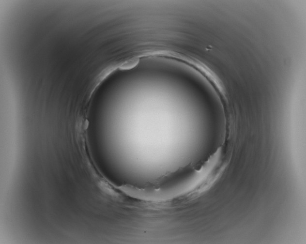 X0000114591001200910191553