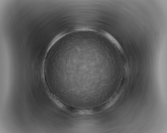 X0000114591002200910191553