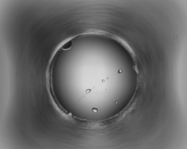 X0000114591003200910191553