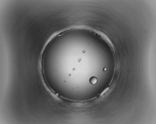 X0000114591005200910191553