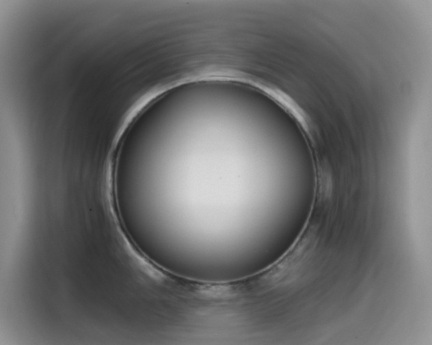 X0000114591006200910191553