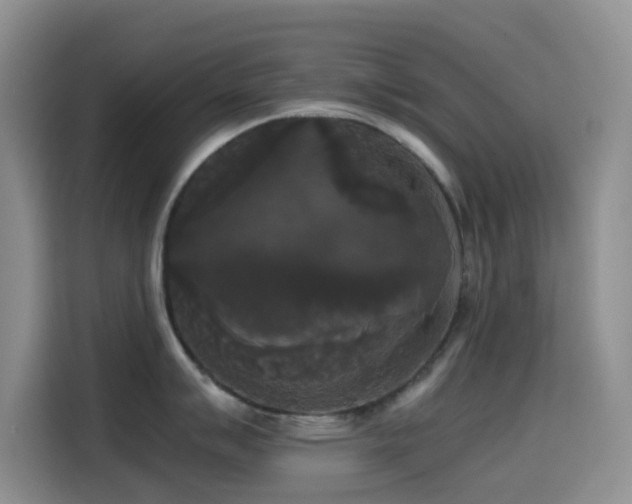 X0000114591007200910191553