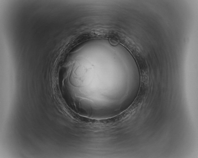 X0000114591009200910191552