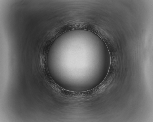 X0000114591010200910191552