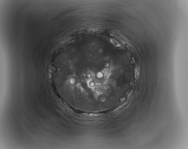 X0000114591011200910191552