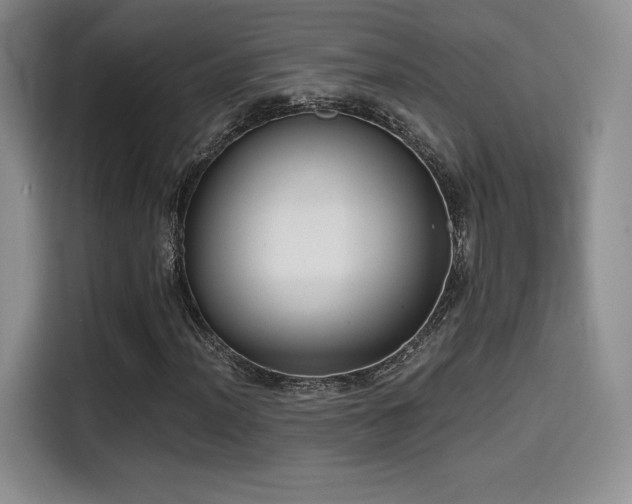 X0000114591012200910191552