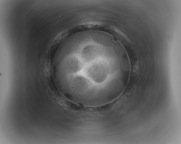 X0000114591014200910191552
