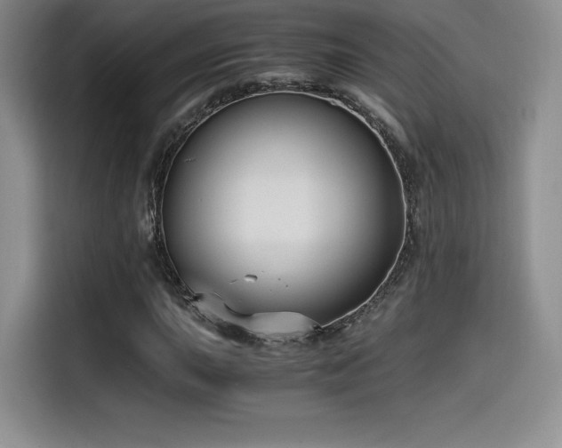 X0000114591015200910191552