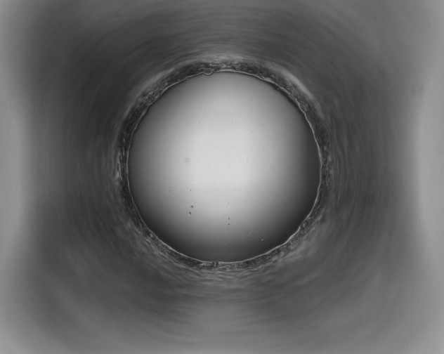 X0000114591016200910191552