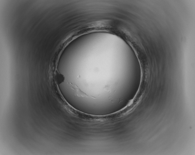 X0000114591017200910191552