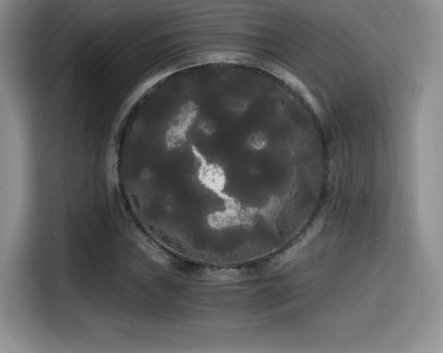 X0000114591019200910191553