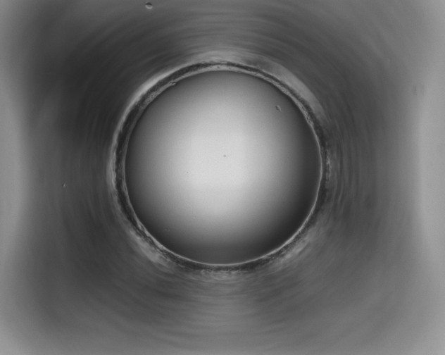 X0000114591020200910191553