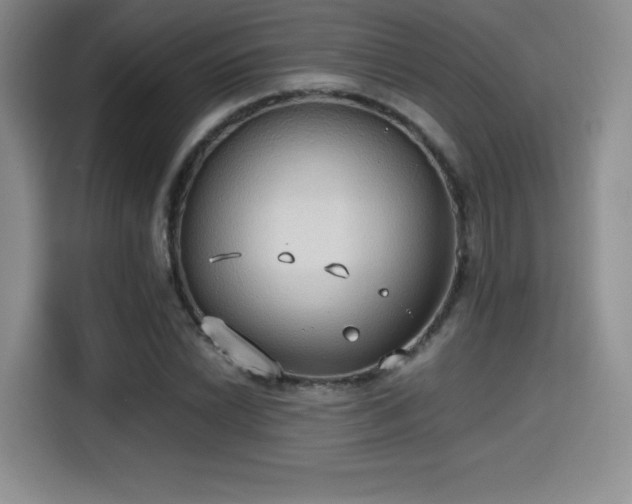 X0000114591022200910191553