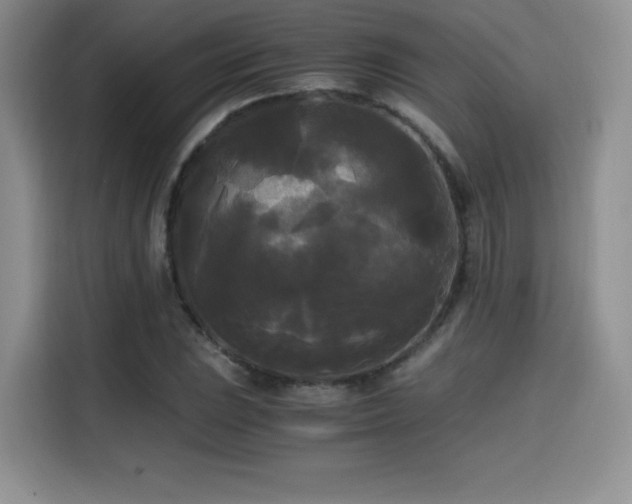 X0000114591023200910191553