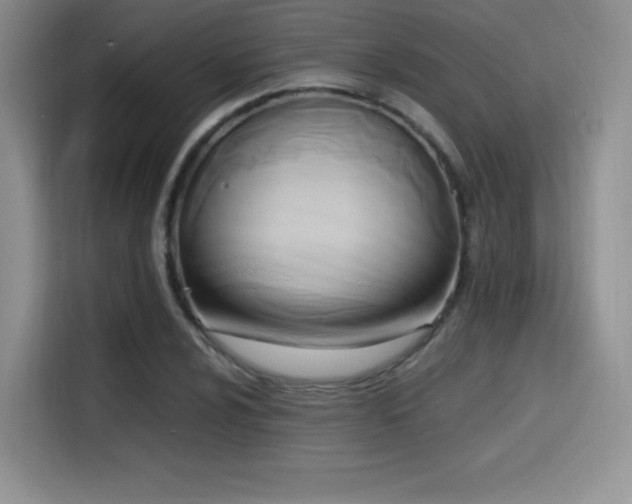 X0000114591024200910191553