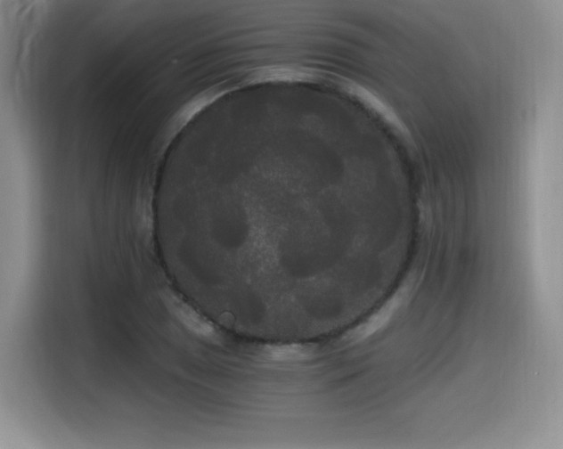 X0000114591025200910191553
