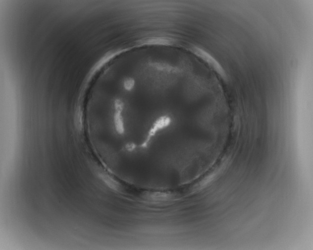 X0000114591027200910191553