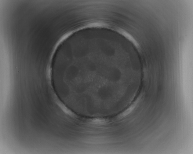 X0000114591029200910191553