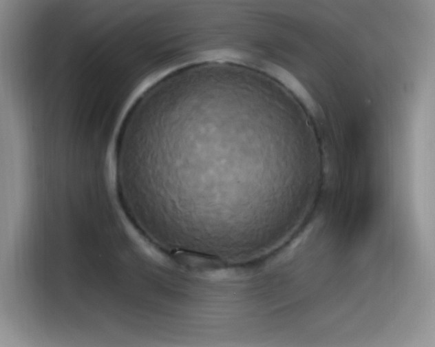 X0000114591032200910191553