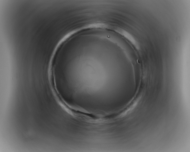 X0000114591037200910191553