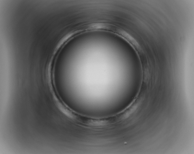 X0000114591039200910191553